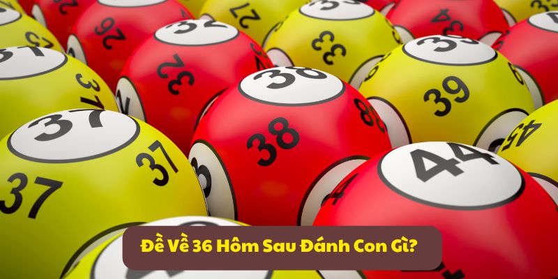 Đề Về 36 Hôm Sau Đánh Con Gì? Bí Quyết Chọn Số Chính Xác!