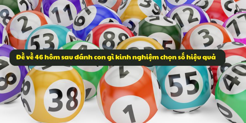 Đề về 46 hôm sau đánh con gì kinh nghiệm chọn số hiệu quả