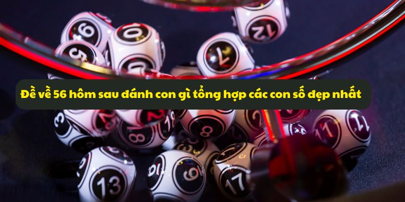 Đề về 56 hôm sau đánh con gì tổng hợp các con số đẹp nhất